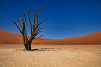 Deadvlei
