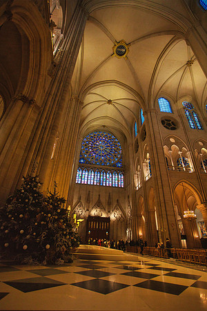 Cathedral of Notre Dame