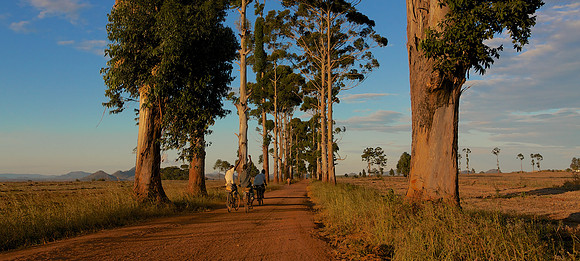Landscape Avenue Bikes