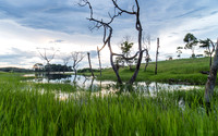 Bvumbwe Lake