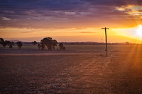 Telegraph Pole at Sunset