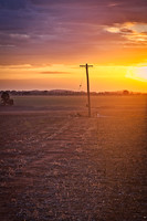 Telegraph Pole
