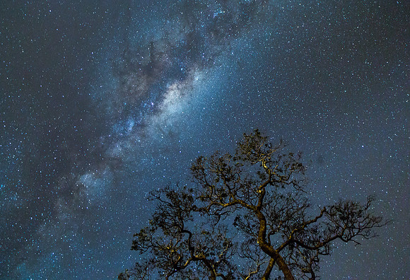 The Lone Tree Milky Way