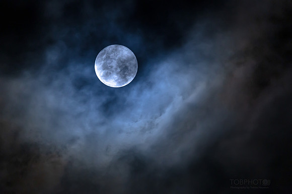 Moon in the Gloom