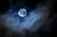 Moon in the Gloom