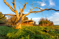 Walla House Late Afternoon