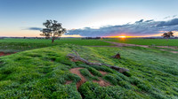 Walla Green Sunset