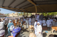 Nizwa Livestock Market