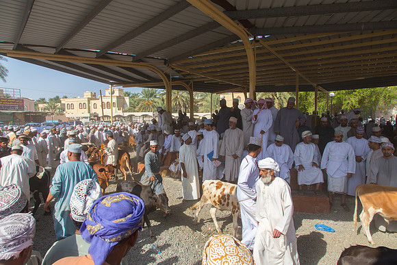 Nizwa Livestock Market